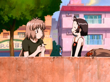 Ichigeki Sacchuu!! Hoihoi-san